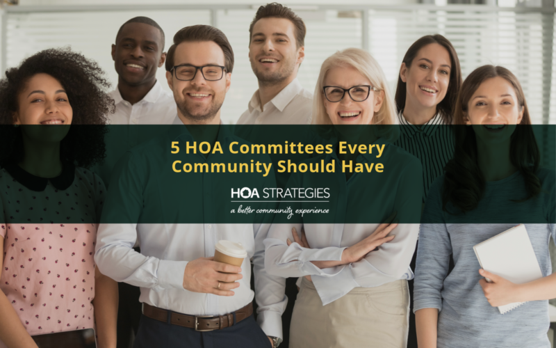 Hoa Questions All About the HOA Board of Directors (Your HOA Governance Questions ...